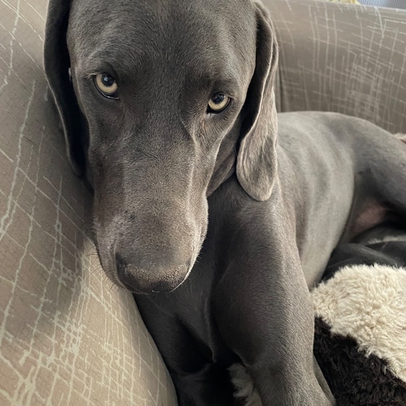 Meet your Buyer/Seller! - Picture 4 of 14